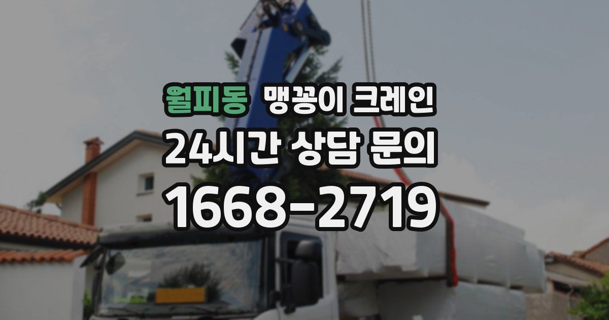 월피동 맹꽁이 크레인