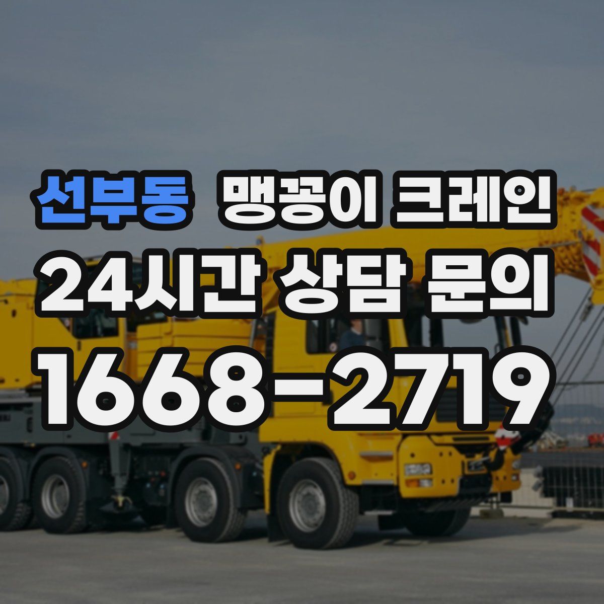 선부동 맹꽁이 크레인