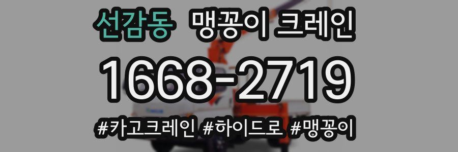 선감동 맹꽁이 크레인