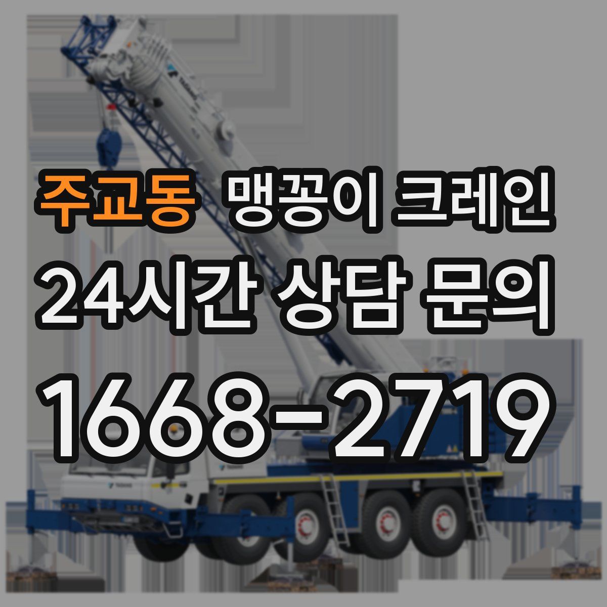 주교동 맹꽁이 크레인