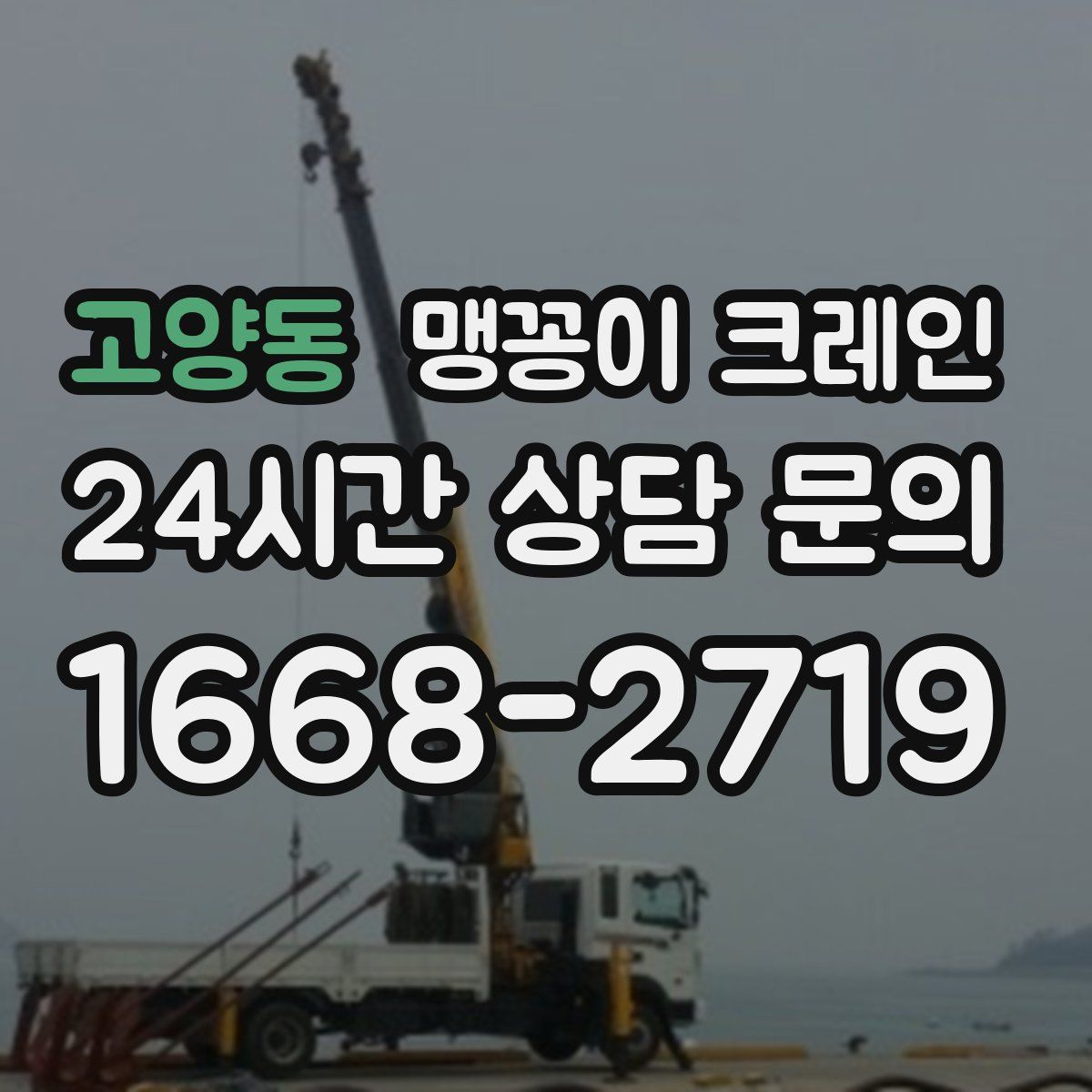 고양동 맹꽁이 크레인