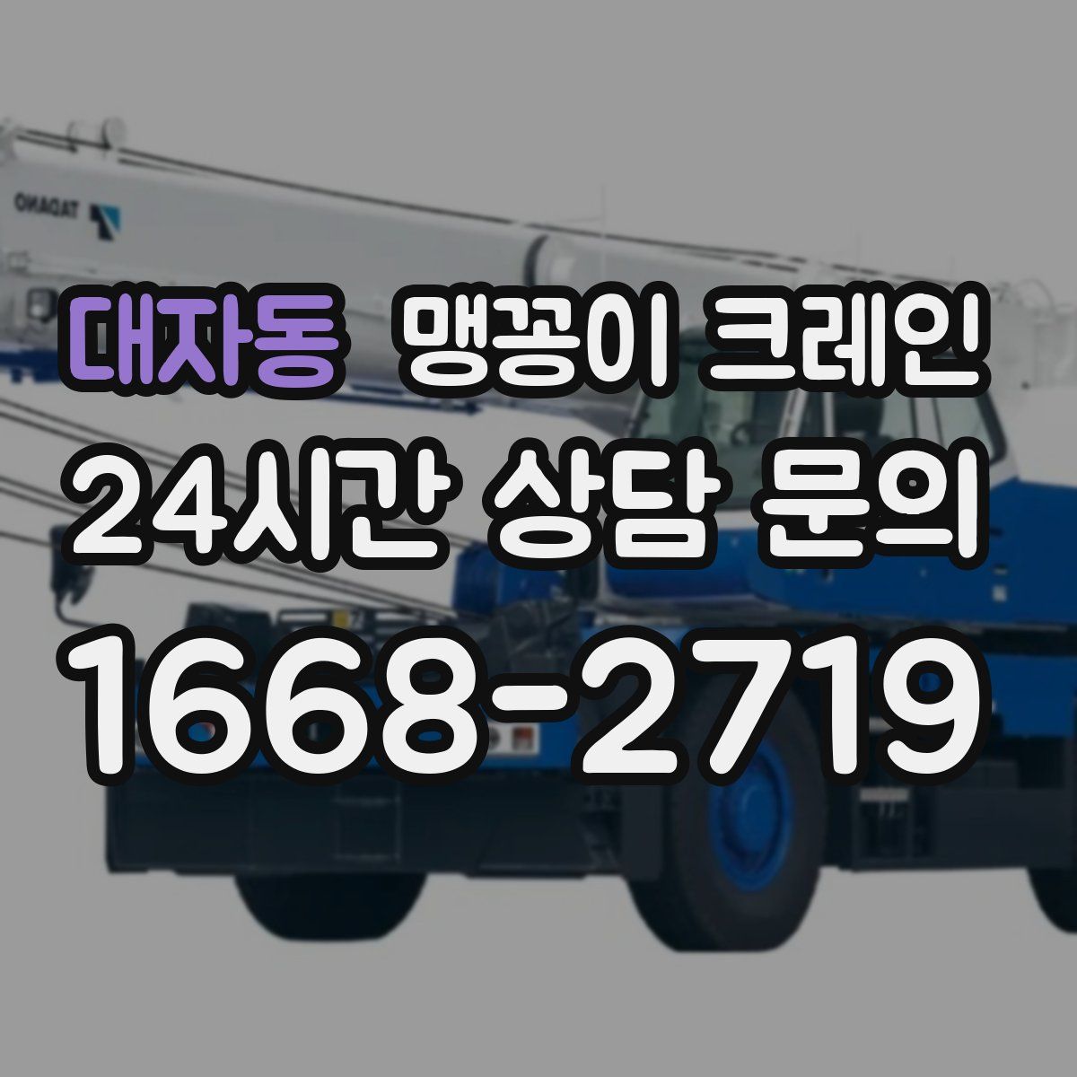 대자동 맹꽁이 크레인