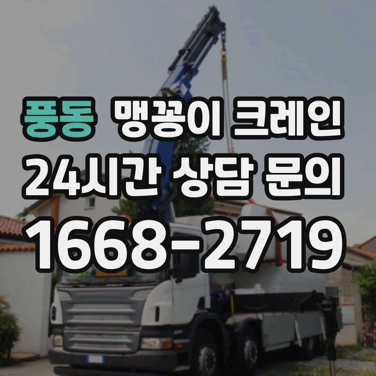 풍동 맹꽁이 크레인