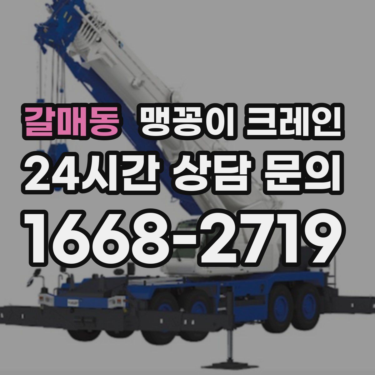 갈매동 맹꽁이 크레인