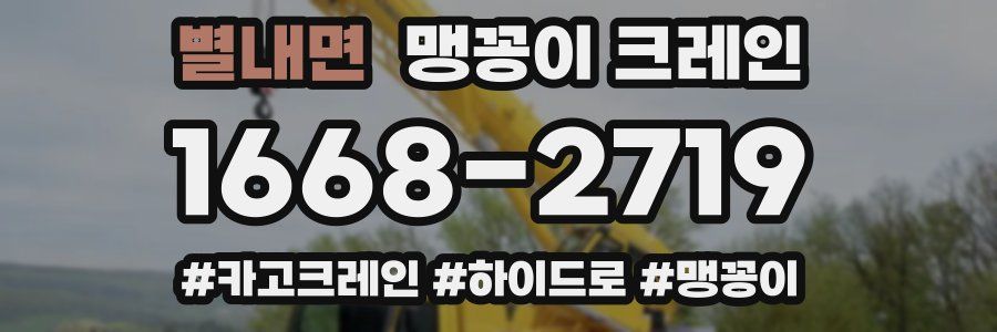 별내면 맹꽁이 크레인