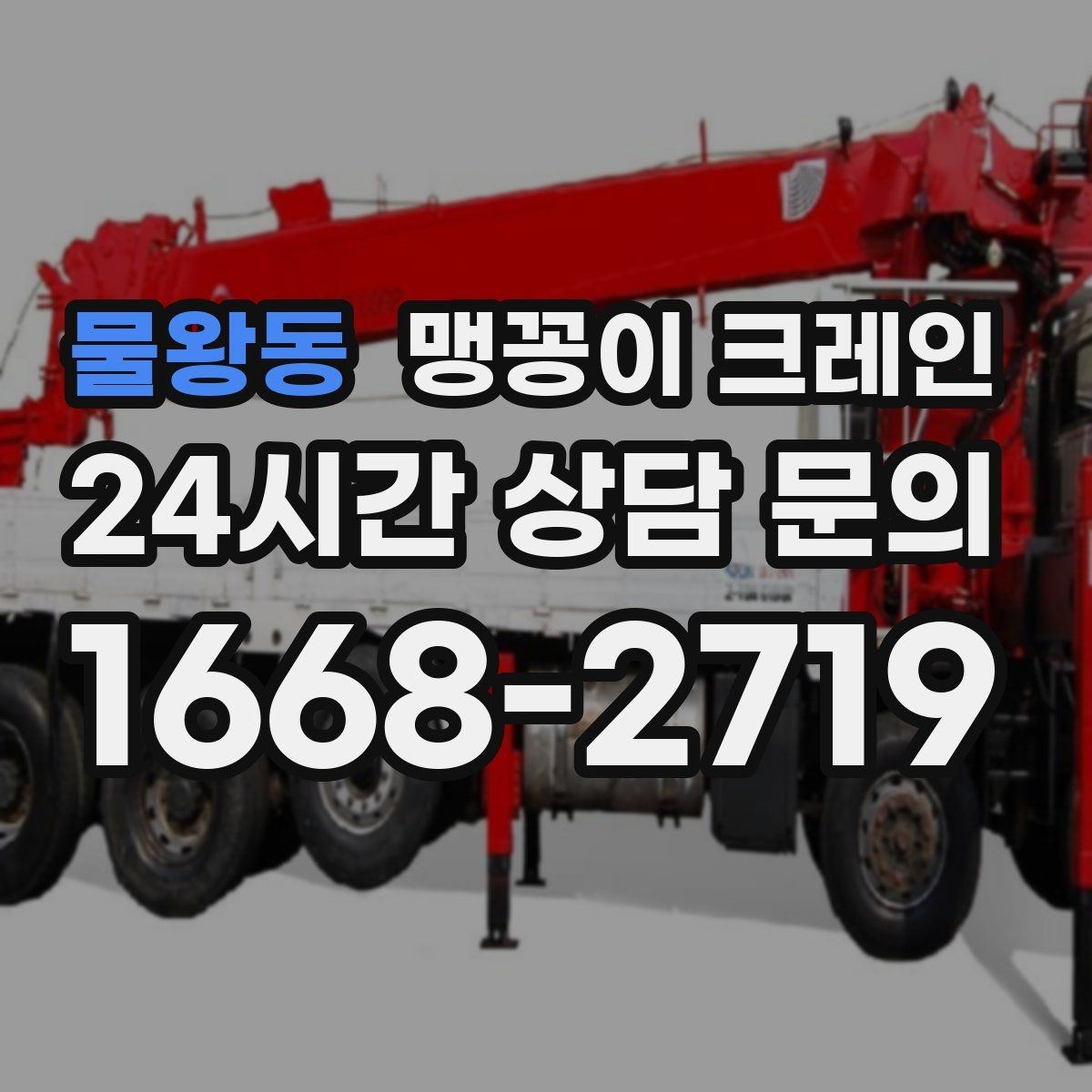 물왕동 맹꽁이 크레인 컨테이너 내부 장비 반입에 적합한 이유