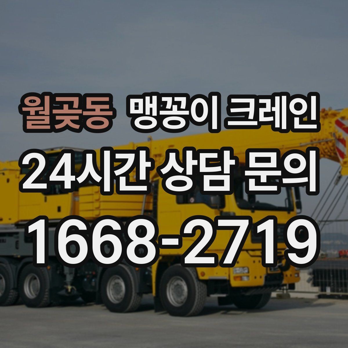 월곶동 맹꽁이 크레인 바닥 보호가 필요한 작업에서 중요한 것