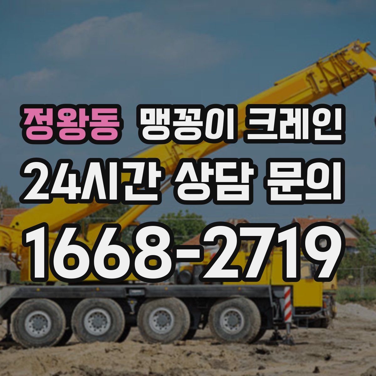 정왕동 맹꽁이 크레인