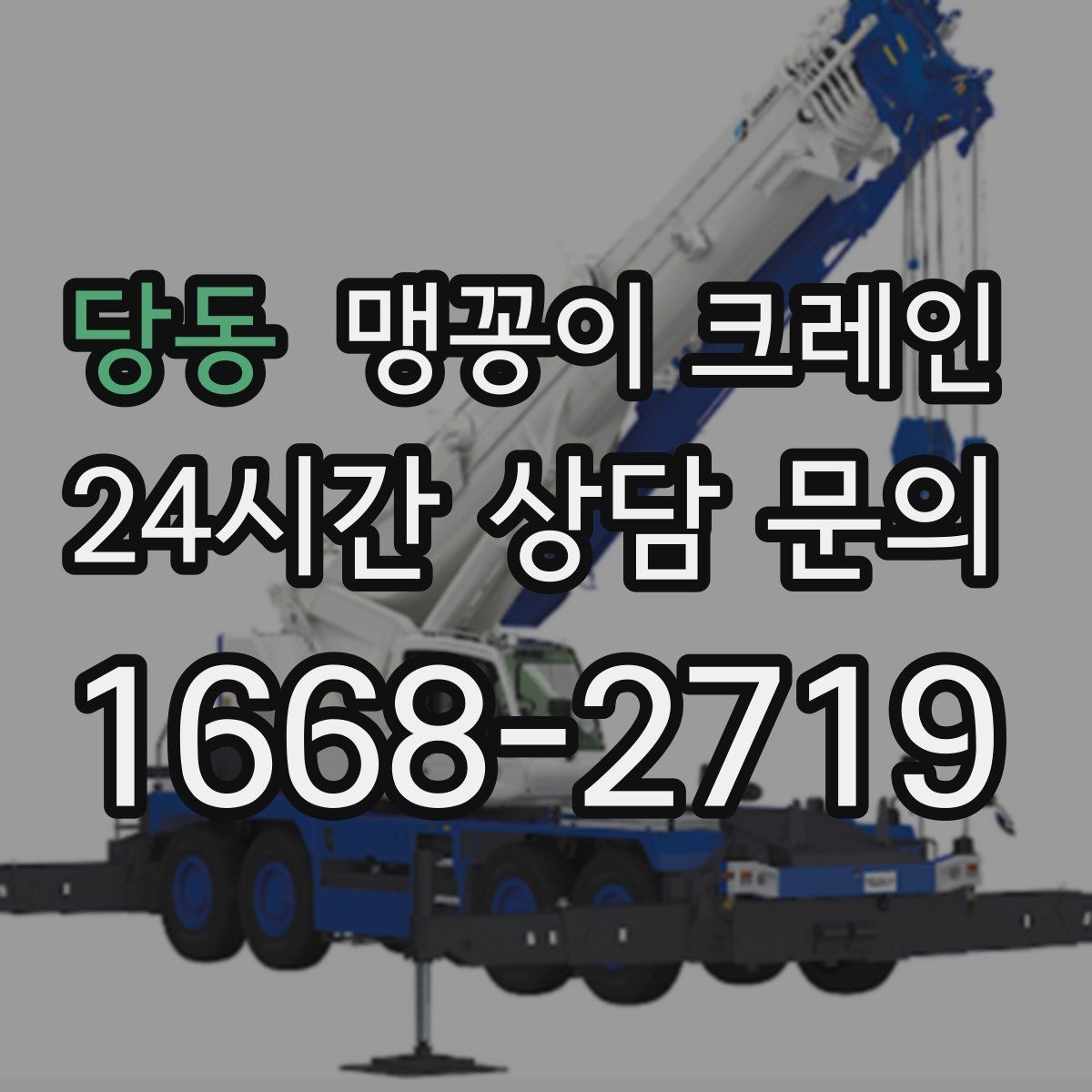 당동 맹꽁이 크레인 냉동·냉장 장비 반입 시 주의할 점
