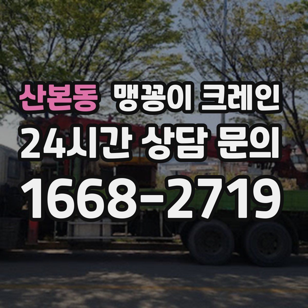 산본동 맹꽁이 크레인 반나절 작업이 유리한 현장 조건
