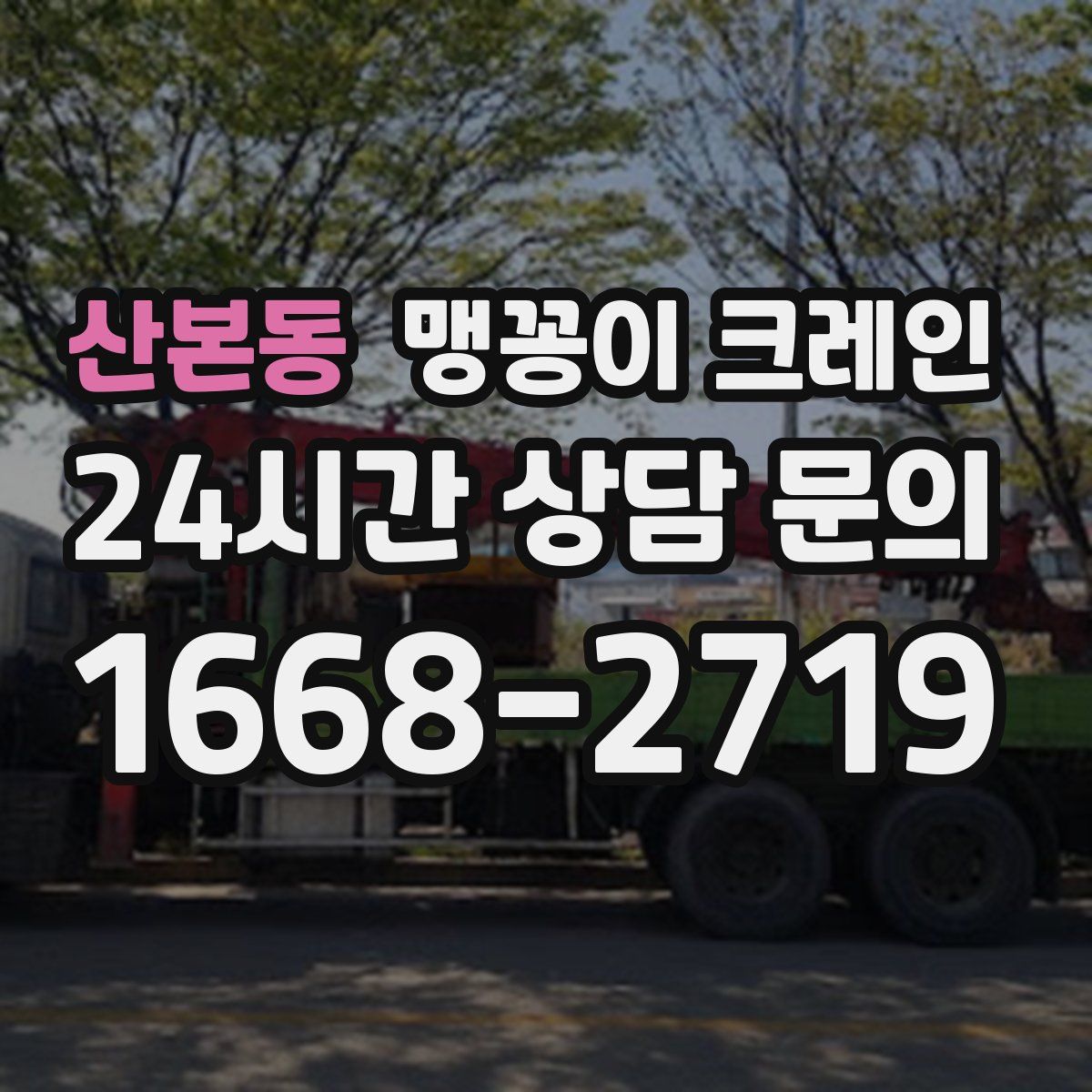 산본동 맹꽁이 크레인