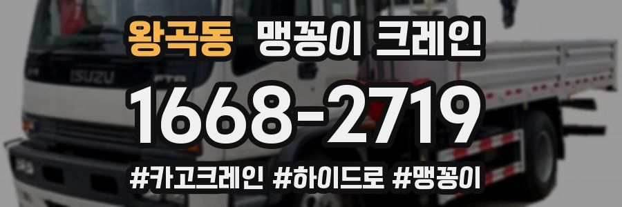 왕곡동 맹꽁이 크레인