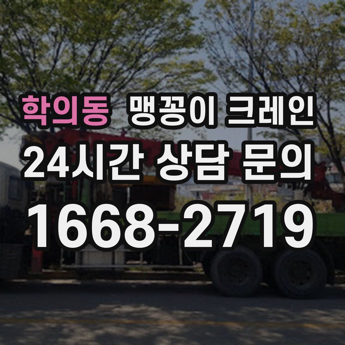 학의동 맹꽁이 크레인