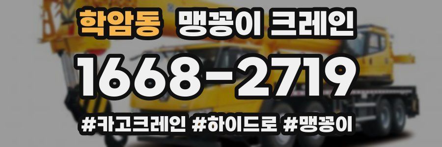 학암동 맹꽁이 크레인