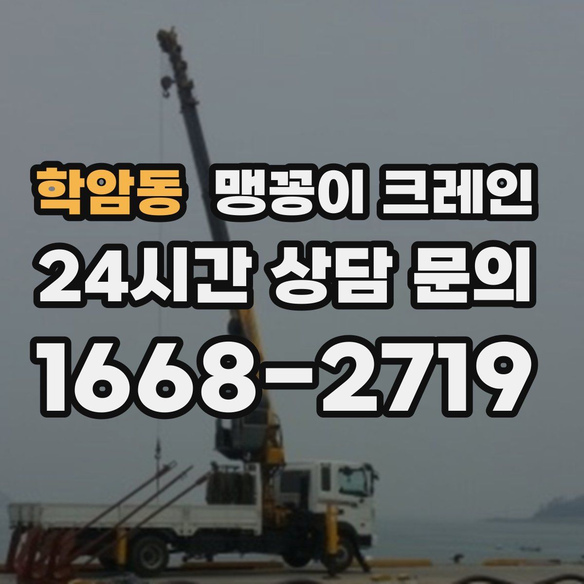 학암동 맹꽁이 크레인