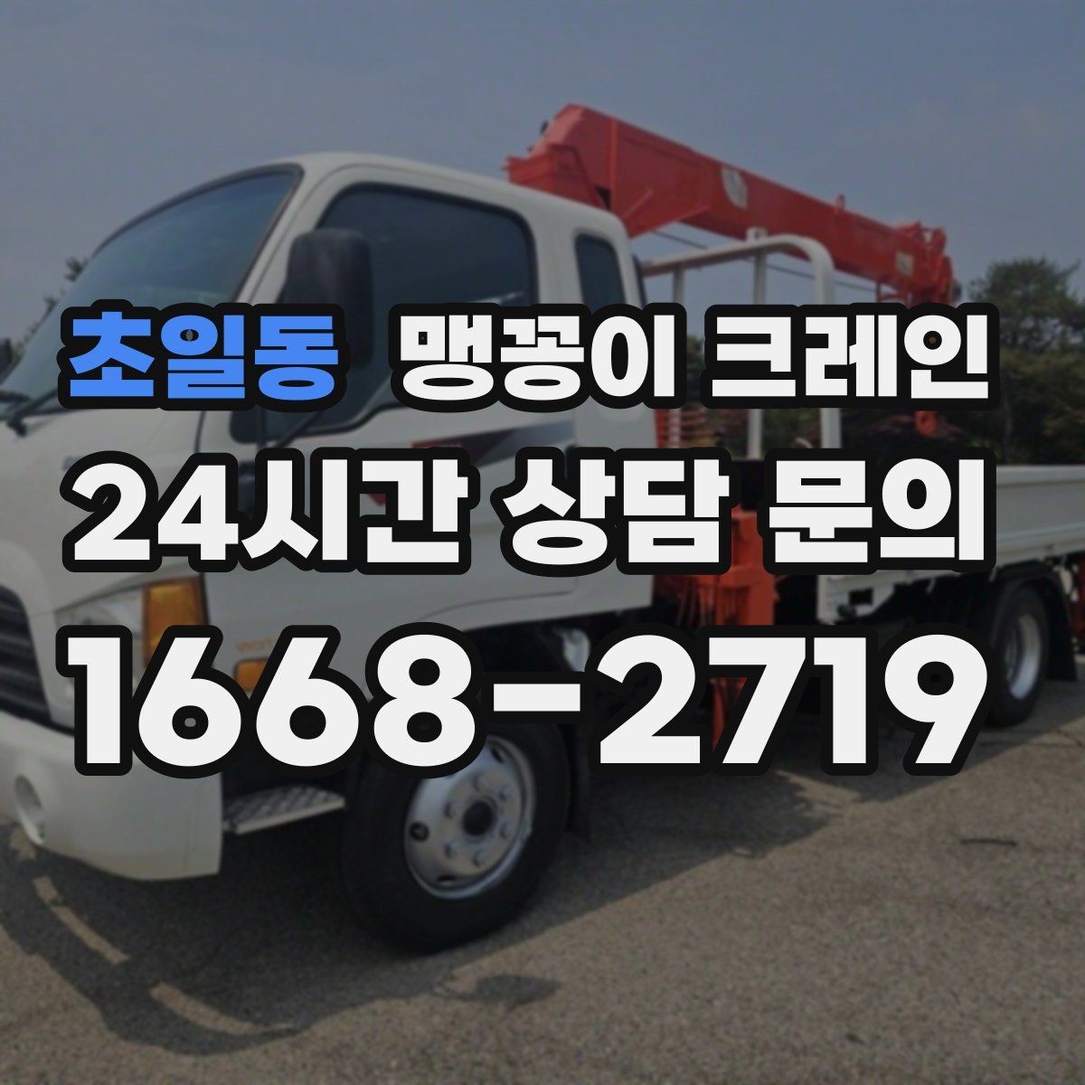 초일동 맹꽁이 크레인 출입로 폭·높이 측정이 필요한 이유
