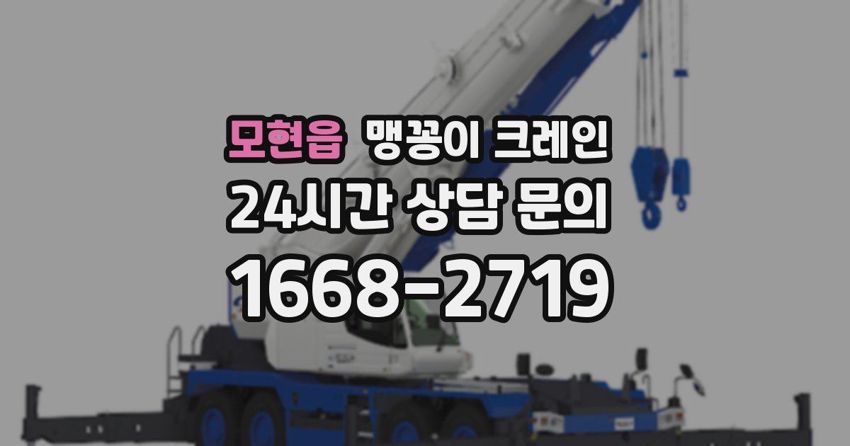 모현읍 맹꽁이 크레인