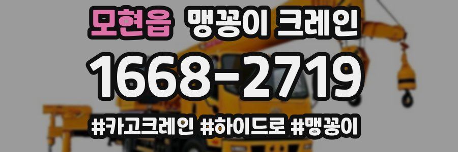 모현읍 맹꽁이 크레인