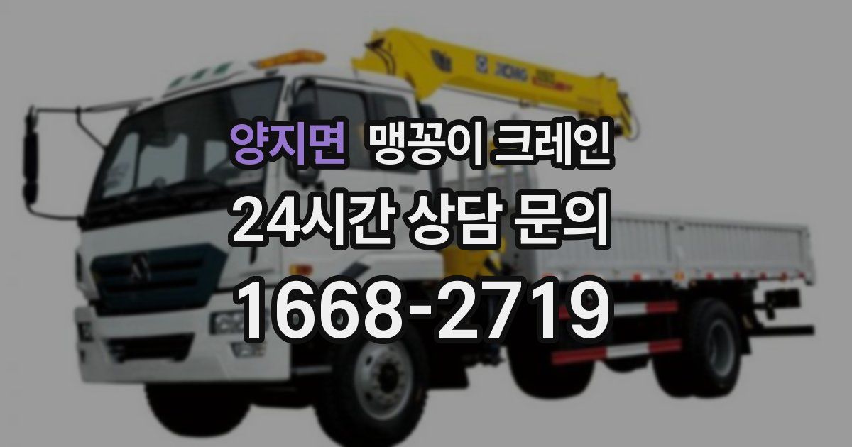 양지면 맹꽁이 크레인