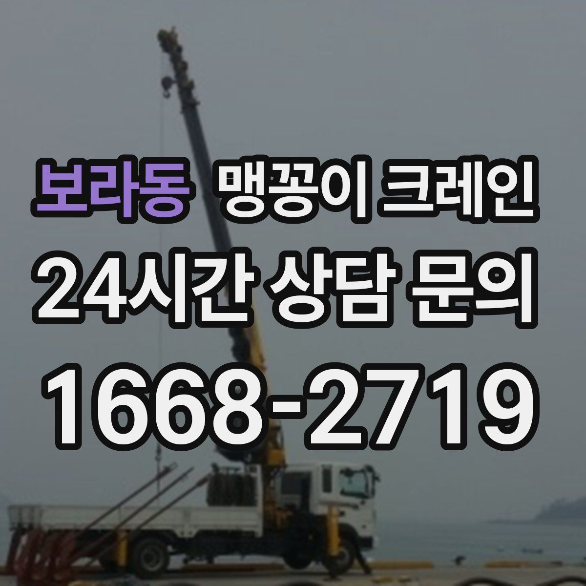 보라동 맹꽁이 크레인