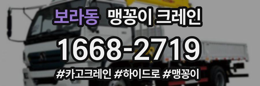 보라동 맹꽁이 크레인