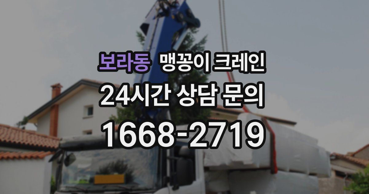 보라동 맹꽁이 크레인