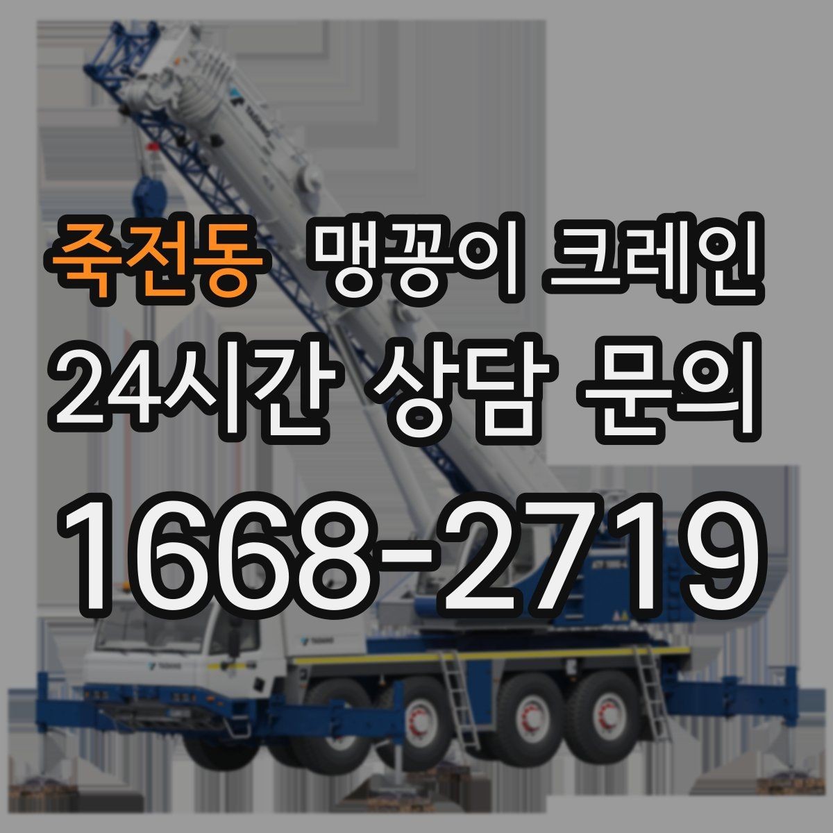 죽전동 맹꽁이 크레인 출입로 폭·높이 측정이 필요한 이유