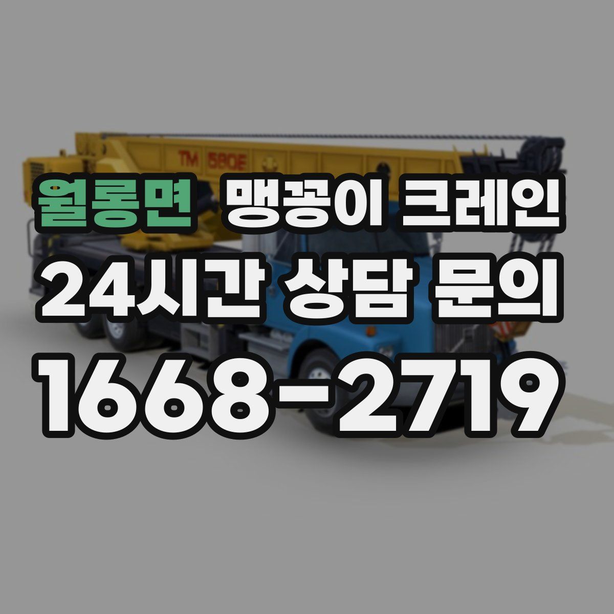 월롱면 맹꽁이 크레인