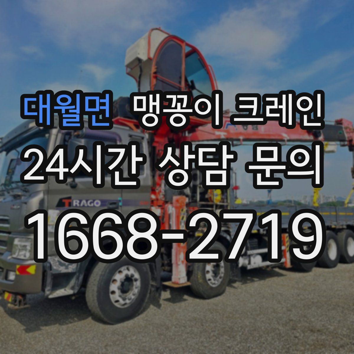 대월면 맹꽁이 크레인