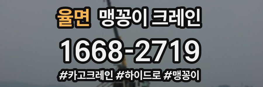 율면 맹꽁이 크레인