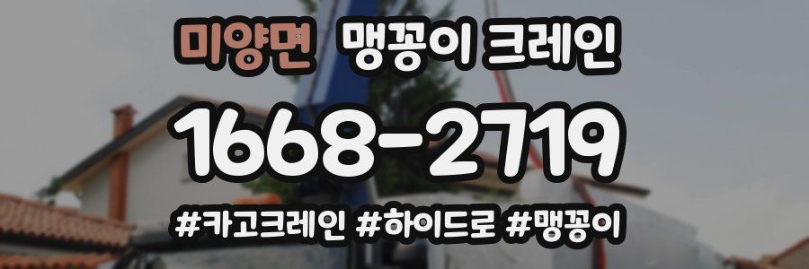 미양면 맹꽁이 크레인