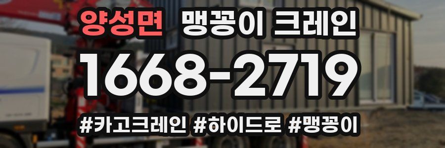 양성면 맹꽁이 크레인