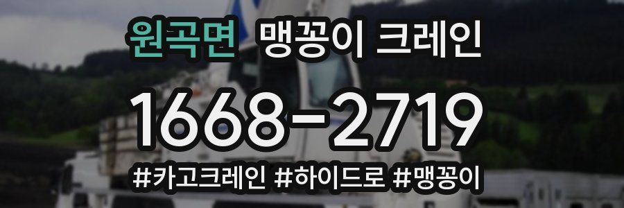 원곡면 맹꽁이 크레인