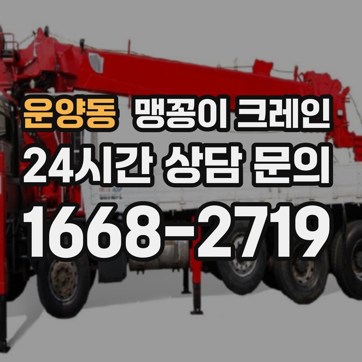 운양동 맹꽁이 크레인