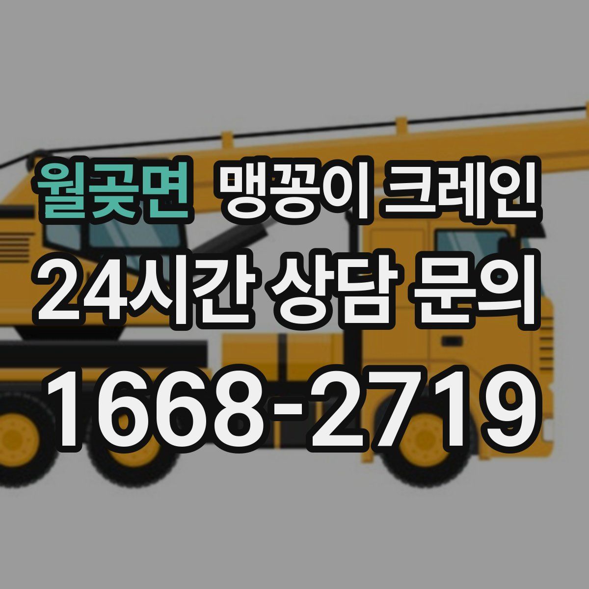 월곶면 맹꽁이 크레인