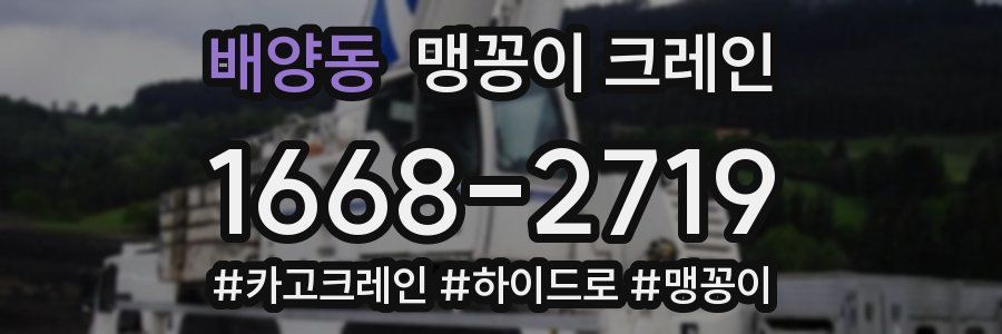배양동 맹꽁이 크레인