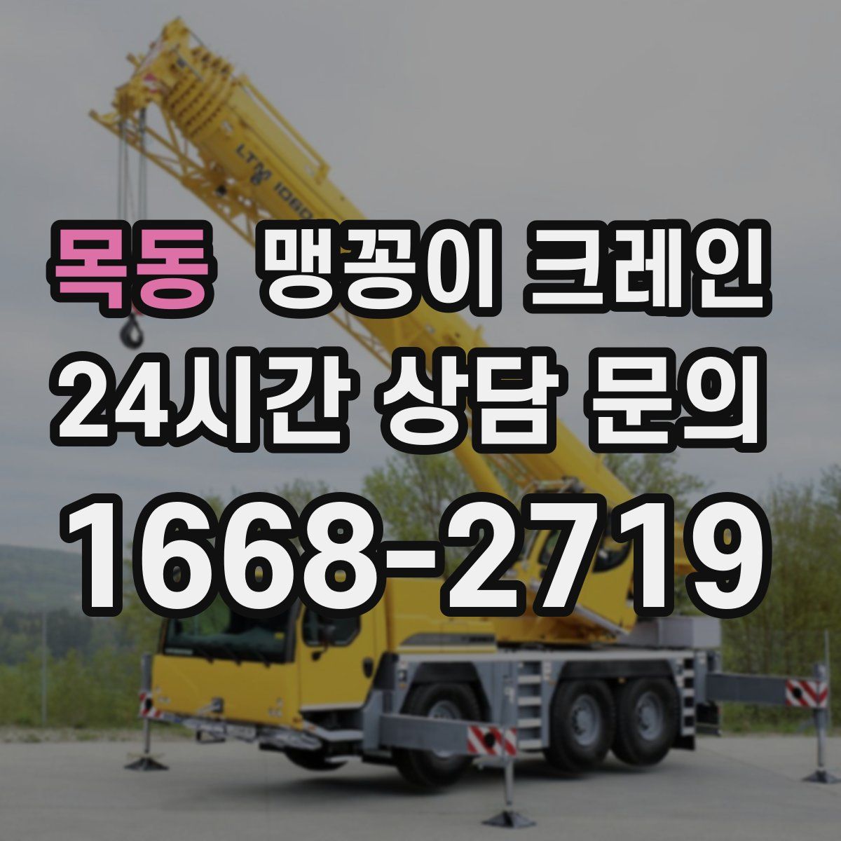 목동 맹꽁이 크레인