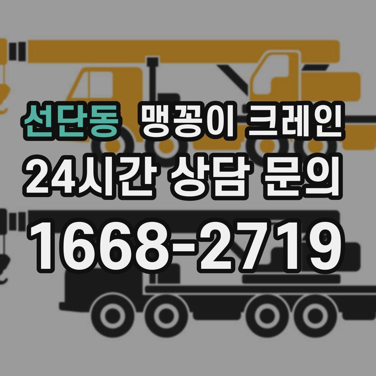 선단동 맹꽁이 크레인 스카이차와 용도가 다른 이유를 정리