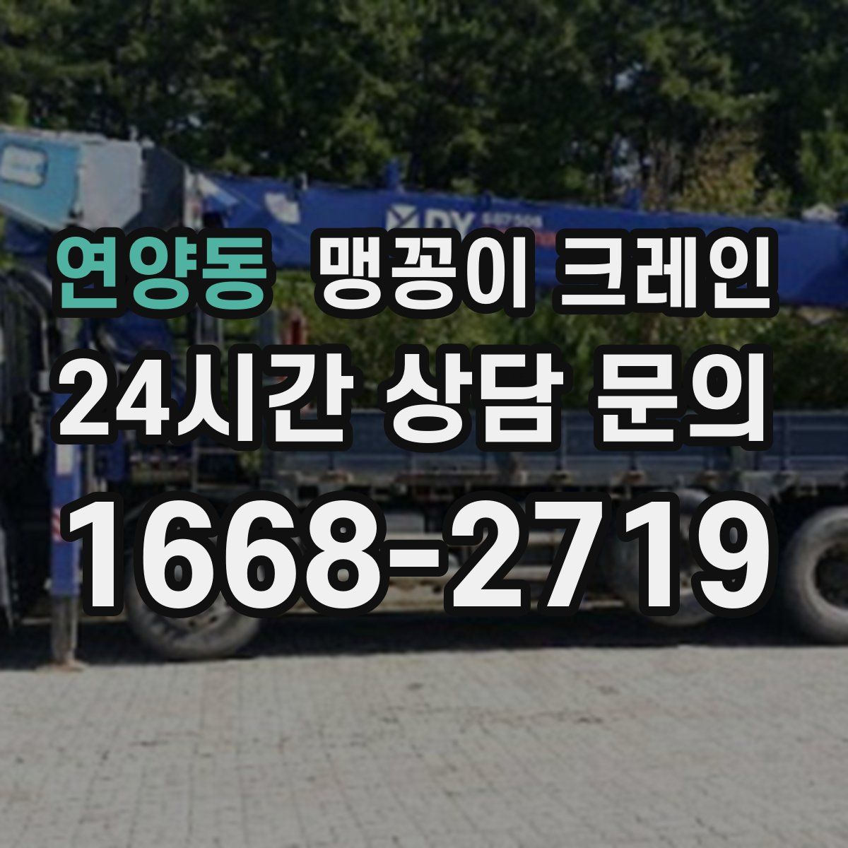 연양동 맹꽁이 크레인
