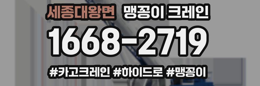 세종대왕면 맹꽁이 크레인