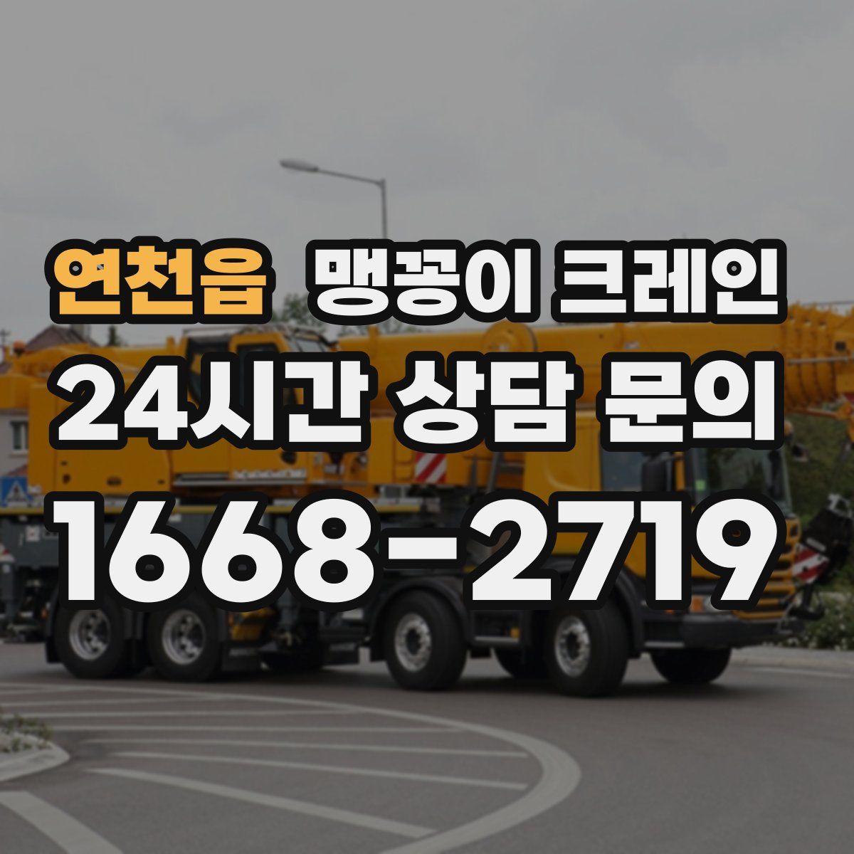 연천읍 맹꽁이 크레인