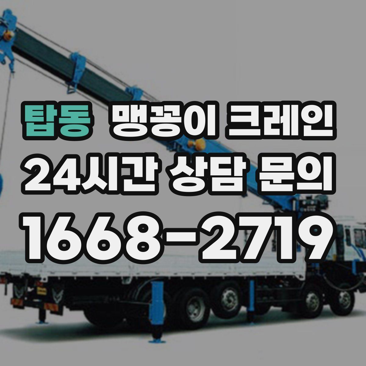 탑동 맹꽁이 크레인
