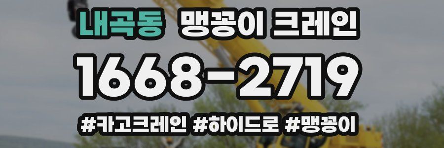 내곡동 맹꽁이 크레인