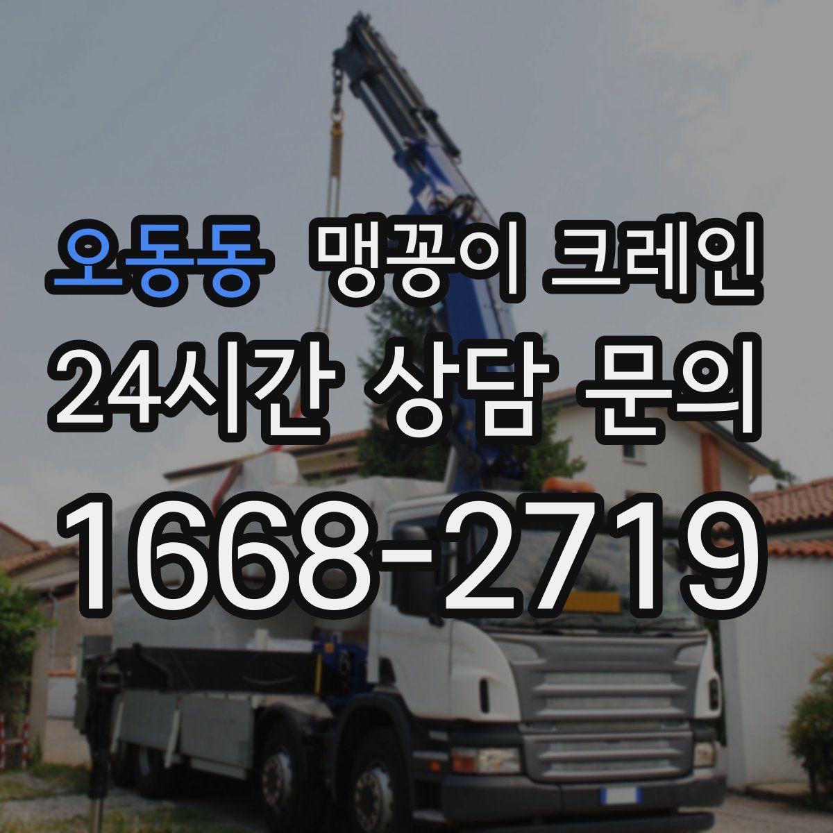 오동동 맹꽁이 크레인