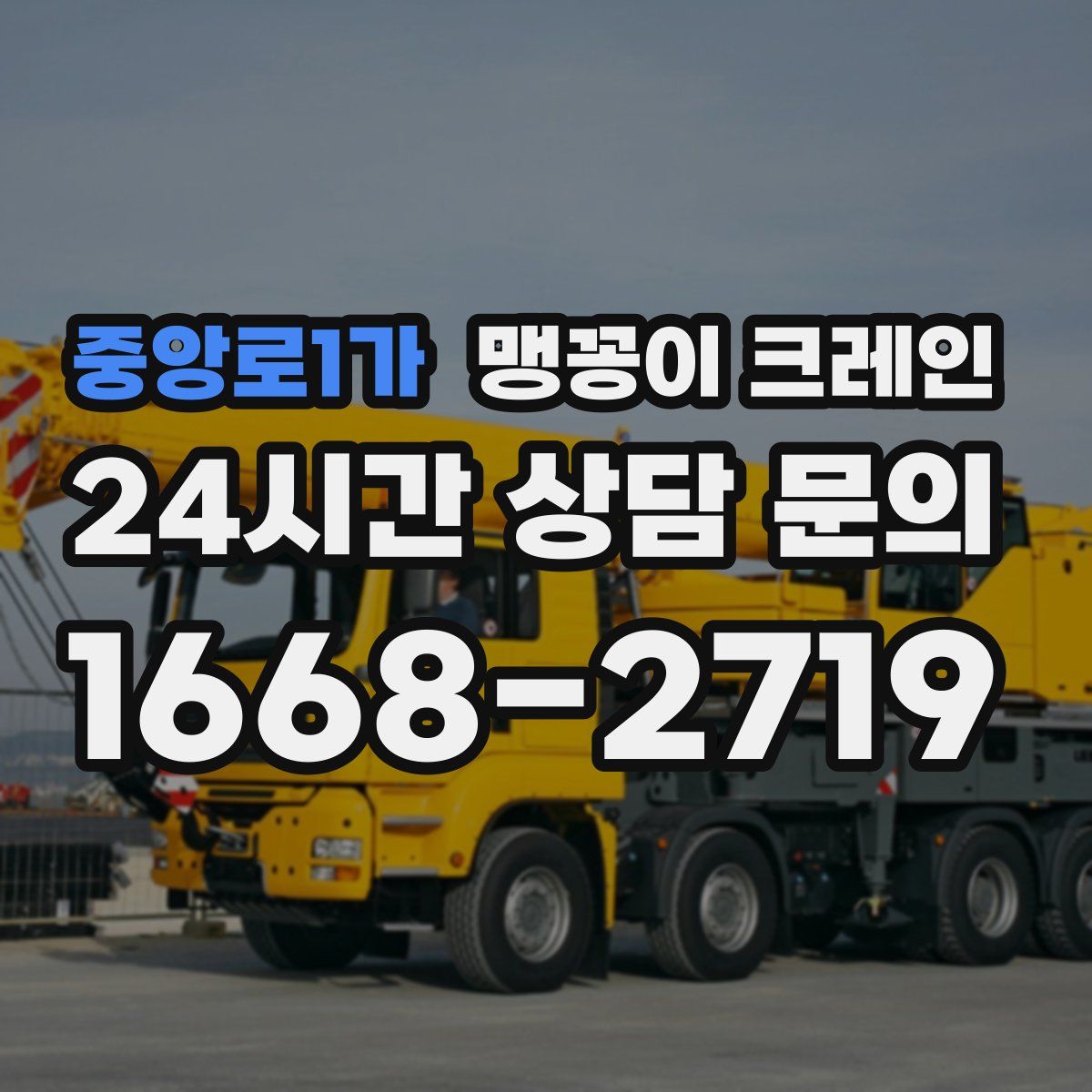 중앙로1가 맹꽁이 크레인