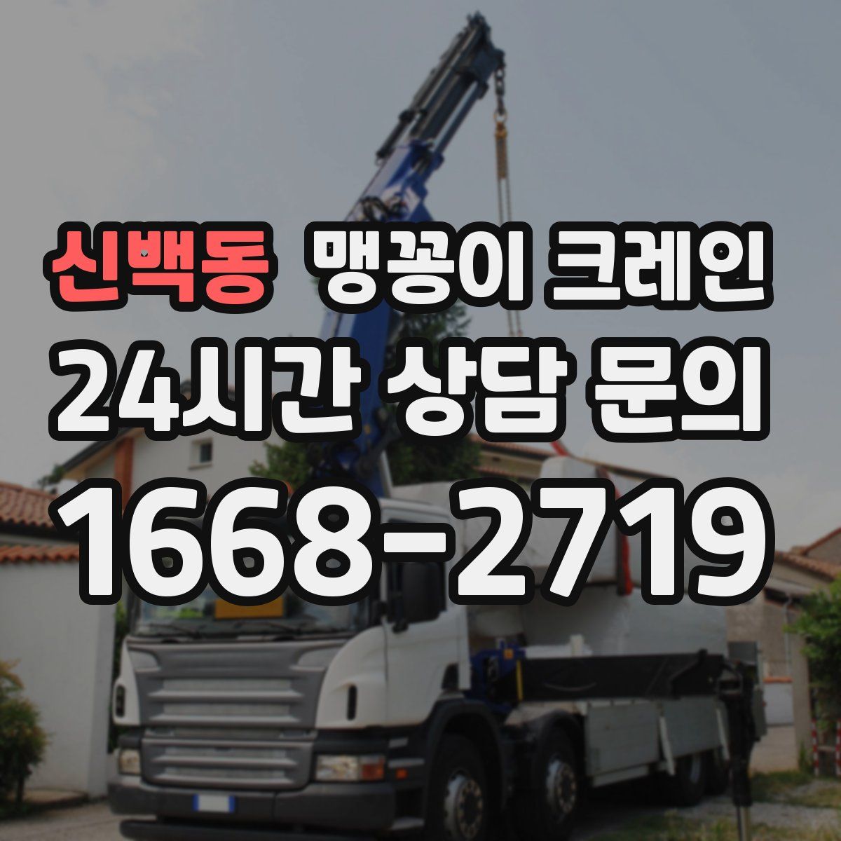 신백동 맹꽁이 크레인