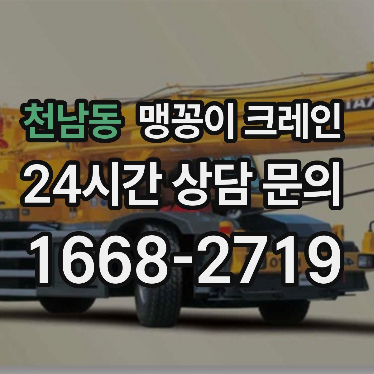 천남동 맹꽁이 크레인