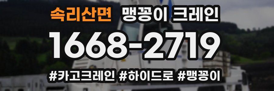 속리산면 맹꽁이 크레인