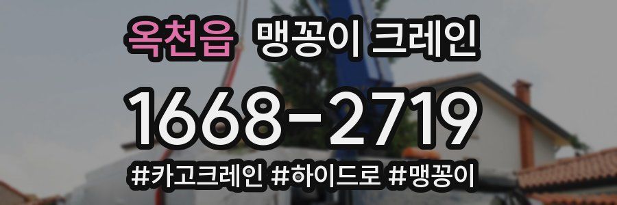 옥천읍 맹꽁이 크레인