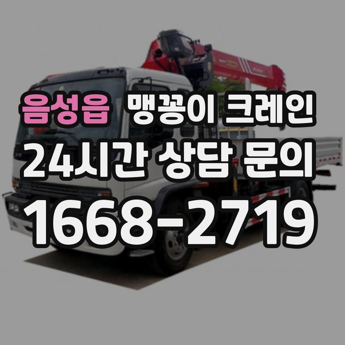 음성읍 맹꽁이 크레인